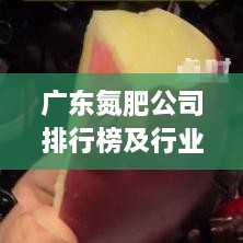 广东氮肥公司排行榜及行业影响力揭秘
