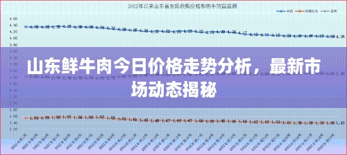 山东鲜牛肉今日价格走势分析，最新市场动态揭秘