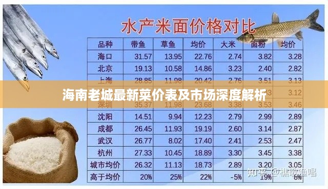 海南老城最新菜价表及市场深度解析