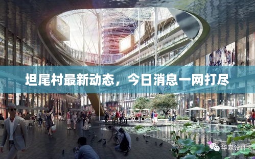 坦尾村最新动态，今日消息一网打尽