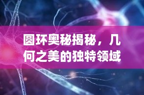 圆环奥秘揭秘，几何之美的独特领域探索