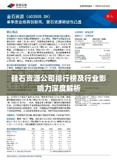 硅石资源公司排行榜及行业影响力深度解析