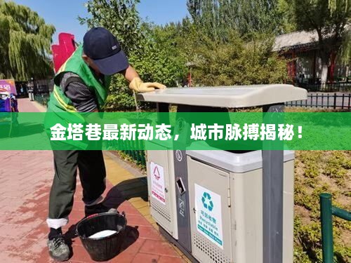 金塔巷最新动态，城市脉搏揭秘！