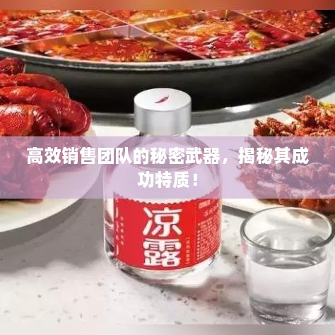 高效销售团队的秘密武器，揭秘其成功特质！