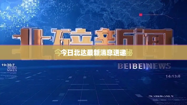 今日北达最新消息速递