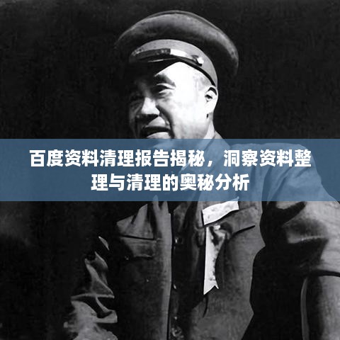 百度资料清理报告揭秘，洞察资料整理与清理的奥秘分析