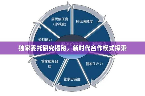 独家委托研究揭秘，新时代合作模式探索