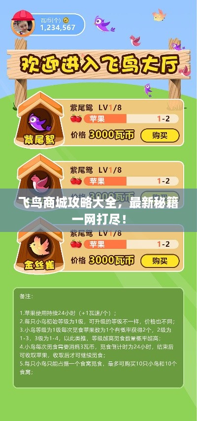 飞鸟商城攻略大全，最新秘籍一网打尽！