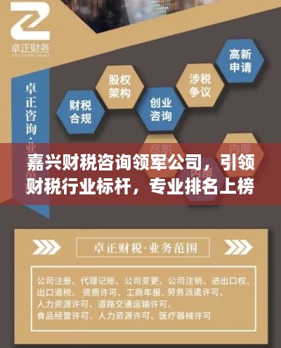 嘉兴财税咨询领军公司，引领财税行业标杆，专业排名上榜之选