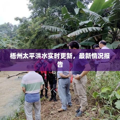 梧州太平洪水实时更新，最新情况报告