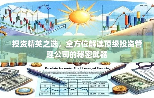 投资精英之选，全方位解读顶级投资管理公司的秘密武器