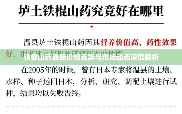 铁棍山药最新价格走势与市场动态深度解析