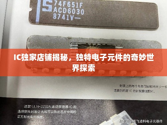 IC独家店铺揭秘，独特电子元件的奇妙世界探索